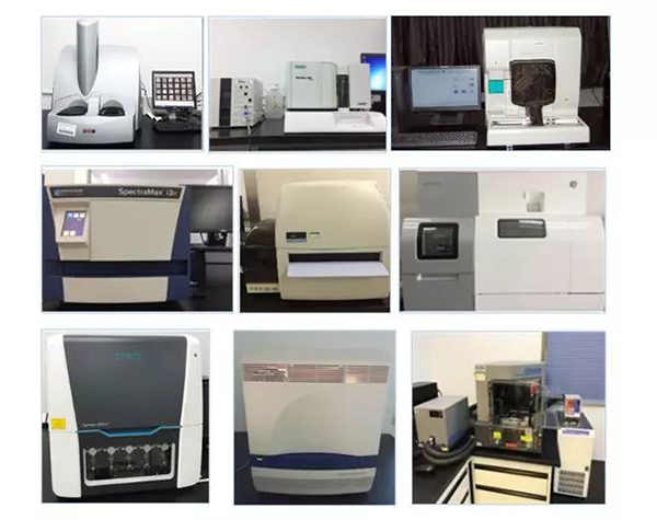 人生就是博生物技术药物分析部门拥有SpectraMaxM4/M5/i3x, MSD, Luminex, Biacore 8K, Envision, Gyrolab，ABI7500 qPCR等全方位多功能的技术平台，利用LIMS系统实施全面的实验室信息化管理，提供全面符合FDA/CFDA/OECD GLP规范要求的生物技术药物分析服务。