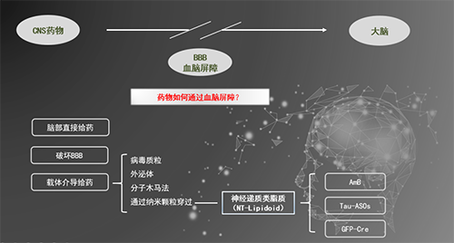 人工合成NT类脂质开放血脑屏障，为CNS药物打开新局面