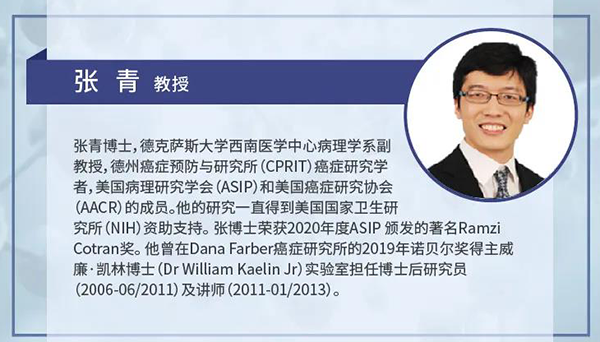 直播预告|诺奖实验室讲师张青教授做客人生就是博云讲堂，揭示乳腺癌和肾癌治疗新靶点