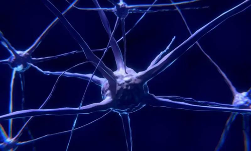 研究首次表明，与年龄有关的认知丧失可能主要是由一种可逆的生理性“阻滞”而不是永久性的降解引起的。