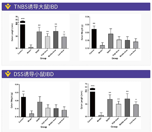 TNBS诱导的大鼠IBD、DSS诱导的大鼠IBD