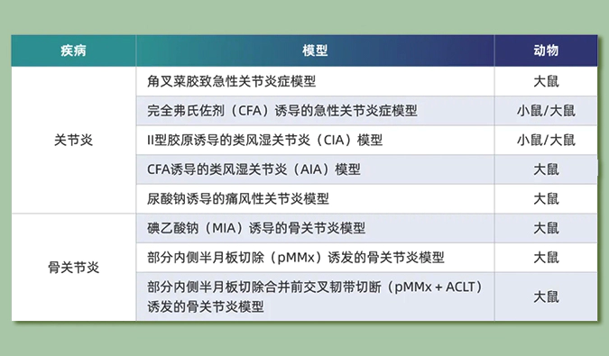 世界关节炎日：突破上亿人的共同难关，持续探索关节炎新药