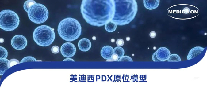 人生就是博118种PDX原位模型，助力肿瘤药物研发.webp