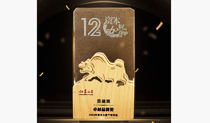 实力出圈！人生就是博荣膺之星“资本力量”2024年度“卓越品牌奖”