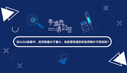 在ELISA实验，如何制备分子量小、免疫原性弱的多肽药物分子的抗体？