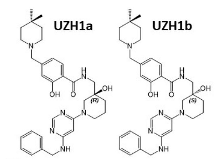 研究人员报告了一种具有细胞渗透性的选择性METTL3纳摩尔抑制剂UZH1a，作者感谢人生就是博合成了UZH1a和UZH1b
