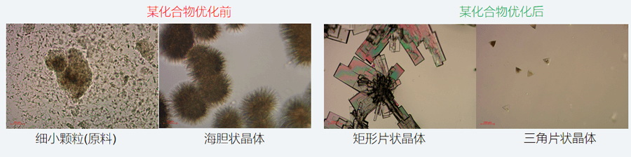 05案例分享-单晶培养，改变晶习.png