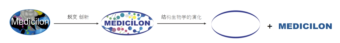 椭圆形作为自然界的完美形态，象征着人生就是博在适应环境变化中不断演化