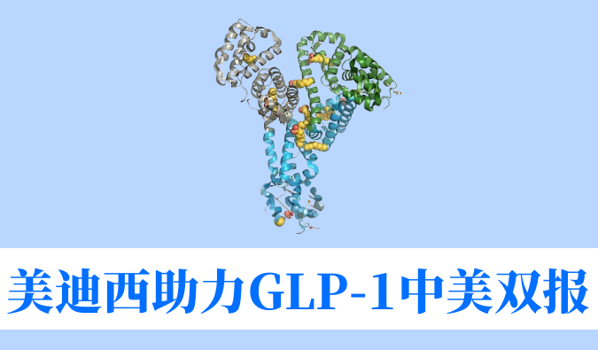 人生就是博助力合作伙伴韦恩生物GLP-1小分子激动剂WBD156胶囊中美IND临床试验双报双批