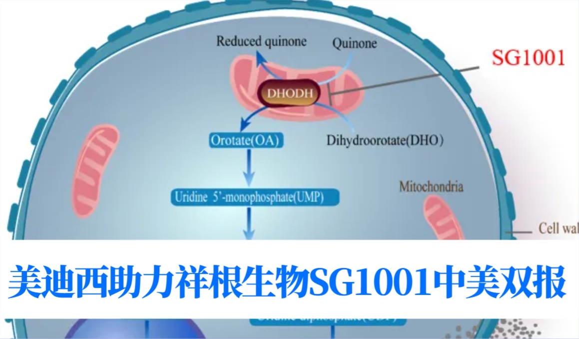 中美双报+1！人生就是博助力合作伙伴祥根生物SG1001再获FDA临床试验许可
